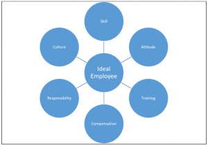 Human Capital matrix